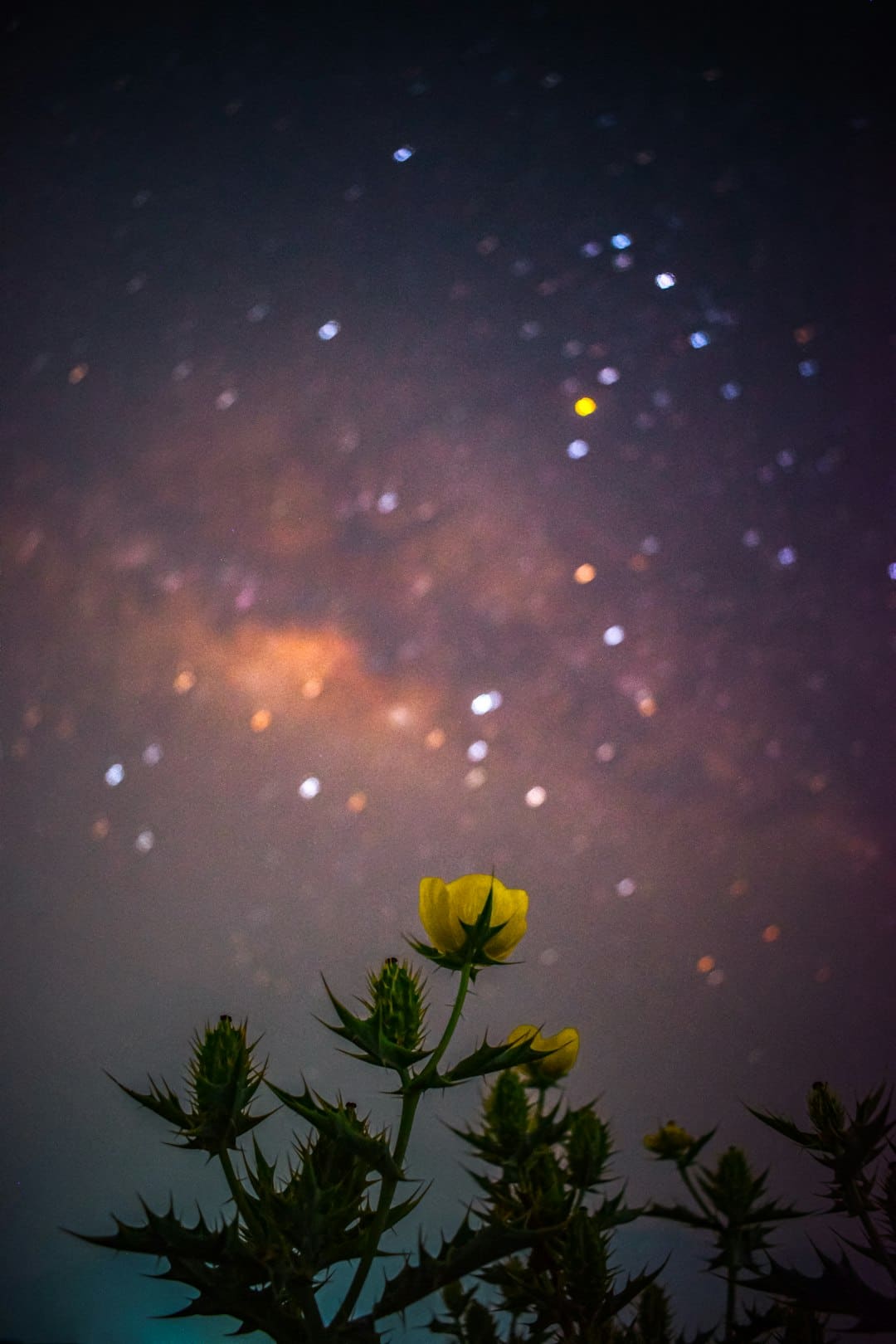 夜间经济,让灯光更亮